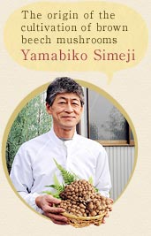 Yamabiko Simeji